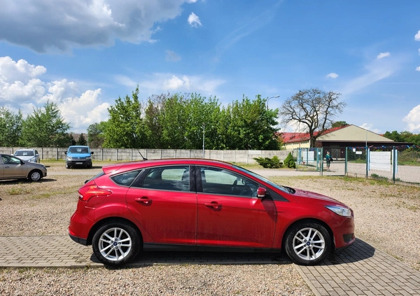 Ford Focus cena 36900 przebieg: 117900, rok produkcji 2016 z Piła małe 466